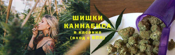 бутират Белокуриха