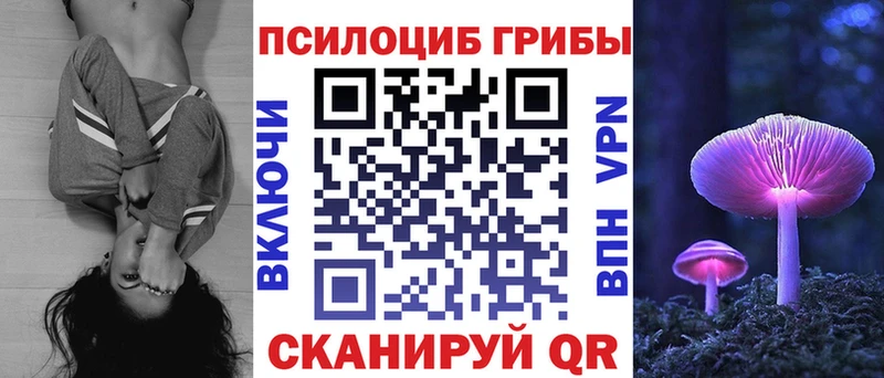 купить наркоту  Белокуриха  Псилоцибиновые грибы Cubensis 